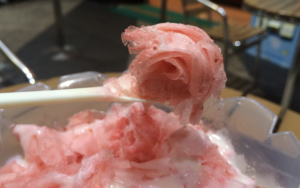 横浜市西区地域情報サイト横浜西区ドットコムミスドスノーキャンディ