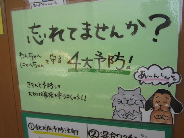横浜動物病院しおせ犬猫