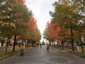 横浜市西区周辺地域情報サイト横浜西区.com